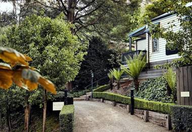 The Blackwood Sassafras