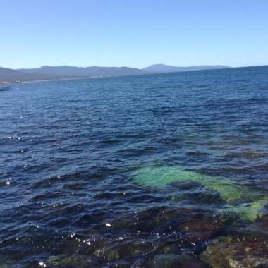 Georges Bay Apartments