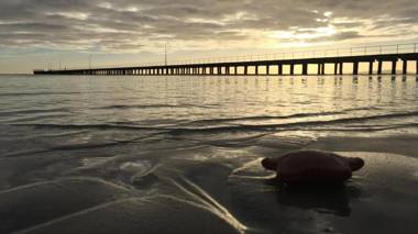 Aquabelle Apartments