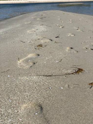 Beach Holiday Apartments