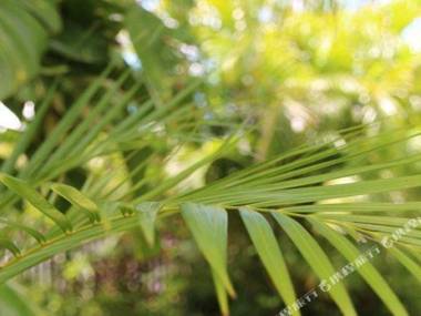 Golden Fountain Motel