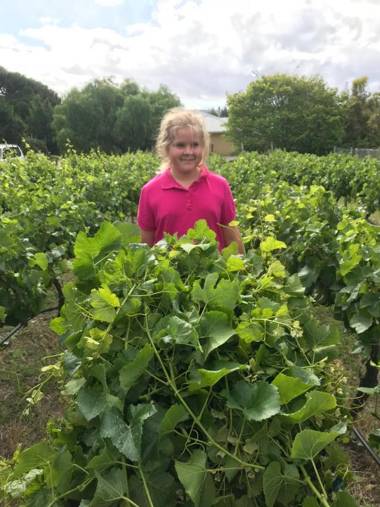 Taras Richmond Farmstay