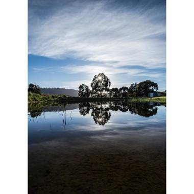 Charles Reuben Estate