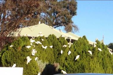 Bright & Beautiful Home on the Hills!