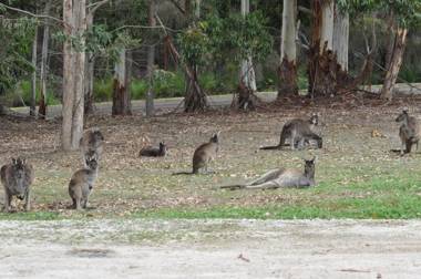 Karri Valley Chalets