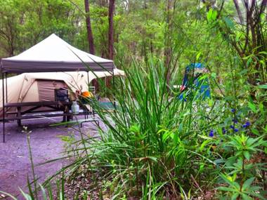 WA Wilderness - one step from nature