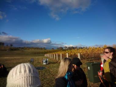 The Sampson - Orange