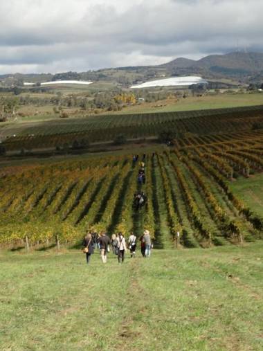 The Sampson - Orange