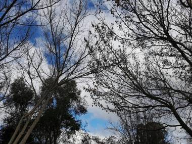 Cute Cottage On Byng - Walk To Town AND Pet Friendly