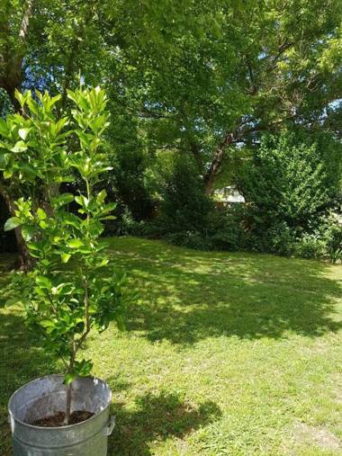 Cute Cottage On Byng - Walk To Town AND Pet Friendly