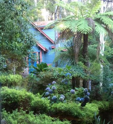 Wild Orchid Olinda Private Luxury Cottage