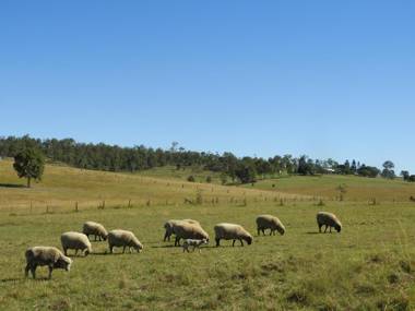 Clandulla Cottages & Farmstay