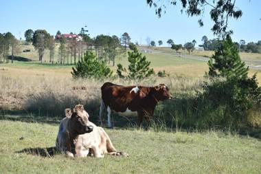 Clandulla Cottages & Farmstay