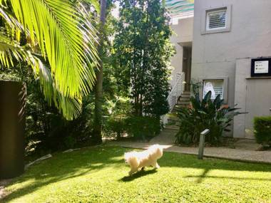 Oasis Rooftop Spa Apartment