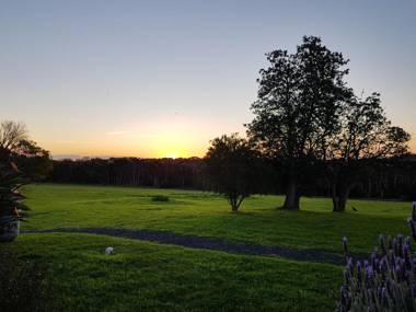 Banksia Park Estate