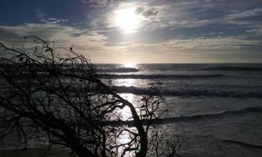 BIG4 Tasman Holiday Parks - Nambucca Heads