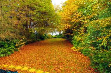 Arnica Views Summit Retreat