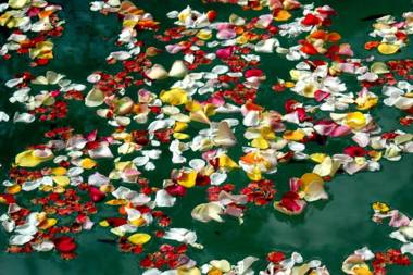 Norwood House Motel & Receptions