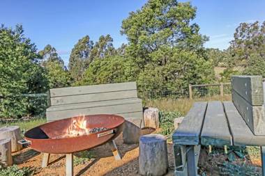 The Friendly Pelican