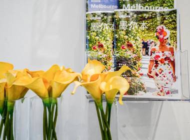 Brunswick Living U1/APT/CBD/Wi-Fi/tram doorstep