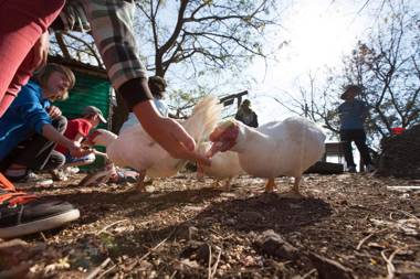 Bestbrook Mountain Farmstay