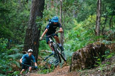 Burnside Organic Farm