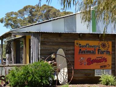 Sunflowers Animal Farm & Farmstay