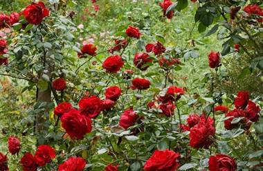 The Residence at Barossa Chateau