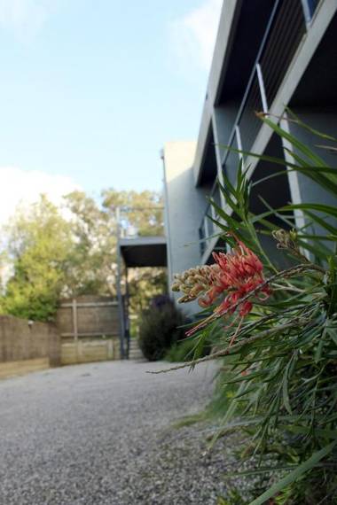Lorne Surf Apartments formerly Chatby Lane Lorne
