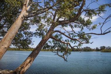 Colonial Tweed Holiday & Home Park