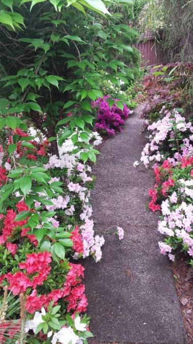 Winston Cottage at Three Sisters