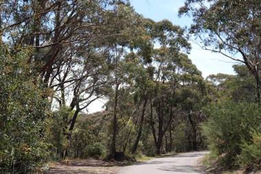 Sinofield Edu-Retreat