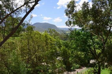 Treetops - Newly renovated in the village!