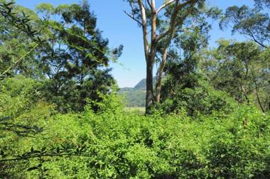 Love Shack - 1 bedroom cosy cottage!