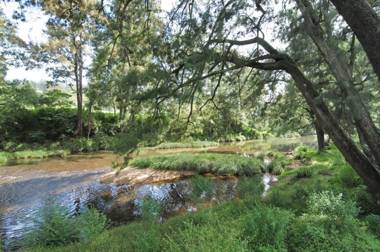 Love Shack - 1 bedroom cosy cottage!