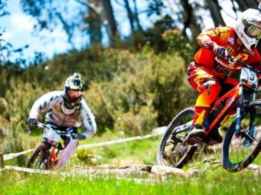 Cobb & Co 3/39 Cobbon Crescent