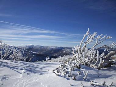 Cobb & Co 3/39 Cobbon Crescent