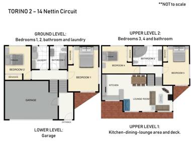 Torino 2/14 Nettin Circuit