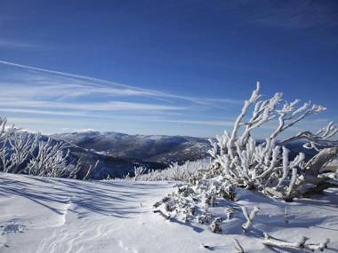 Wendaleigh 5/26 Clyde Street