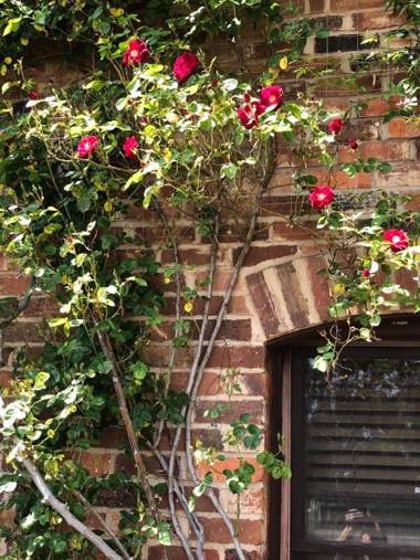 Olde Horsham Motor Inn