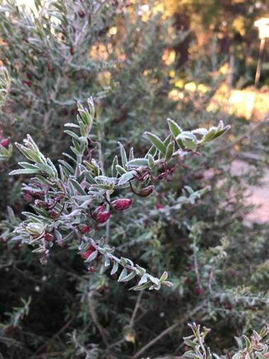 Olde Horsham Motor Inn