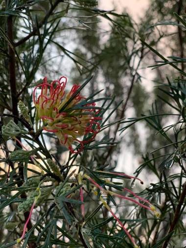 Olde Horsham Motor Inn