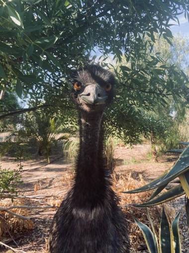 Olde Horsham Motor Inn