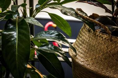 Alabama Hotel Hobart