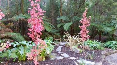 Myers Creek Cascades Luxury Cottages