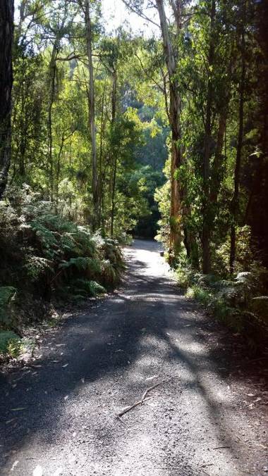 Myers Creek Cascades Luxury Cottages