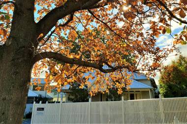 Healesville House - Magnolia House