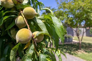 Views On Montpellier