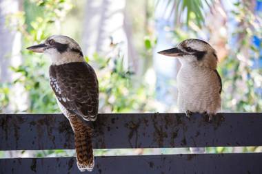 Halifax Holiday Park