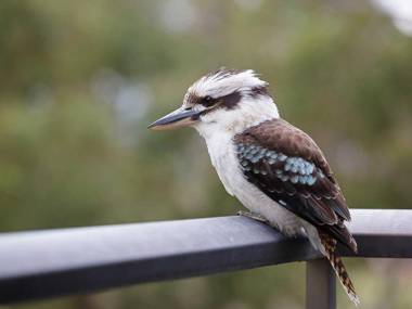 11 'Shoreline' 1 Intrepid Close - cosy unit within walking distance to the water